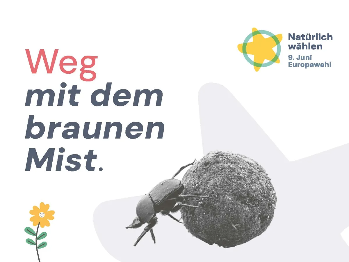 Europawahl Postkarte: "Weg mit dem braunen Mist"